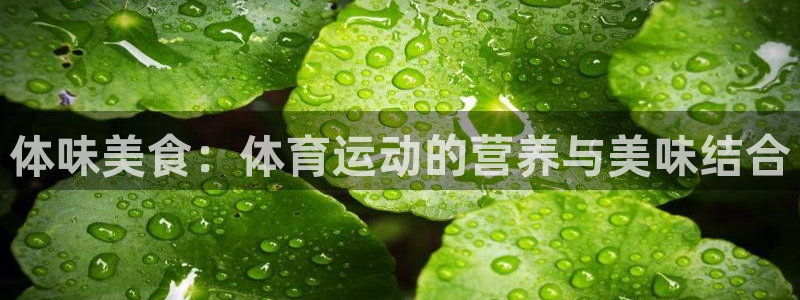球王会体育：体味美食：体育运动的营养与美味结合