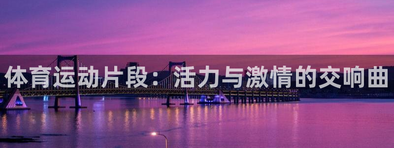 球王会体育：体育运动片段：活力与激情的交响曲