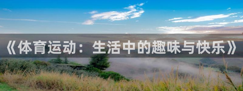 球王会体育