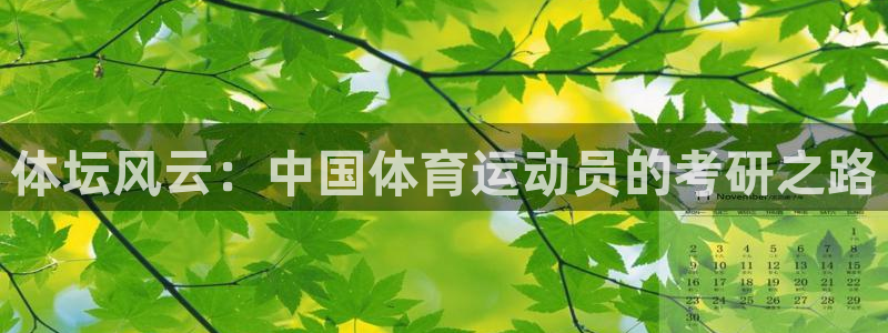 球王会体育