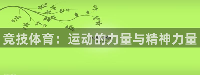 球王会体育