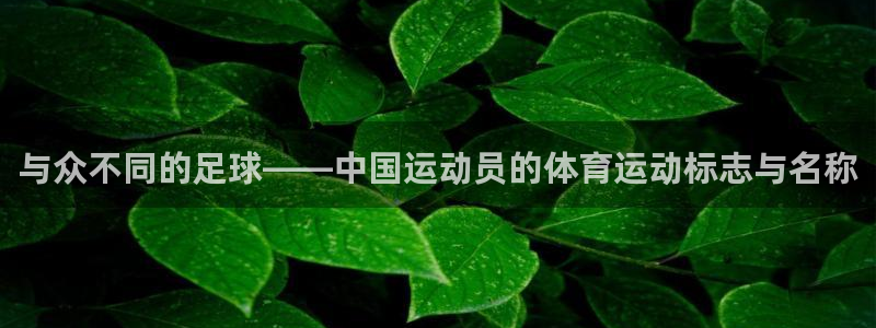 球王会体育