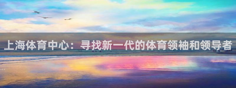 球王会体育