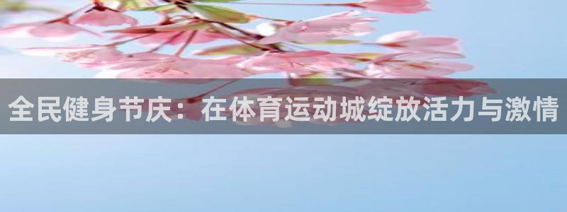 球王会体育：全民健身节庆：在体育运动城绽放活力与激情